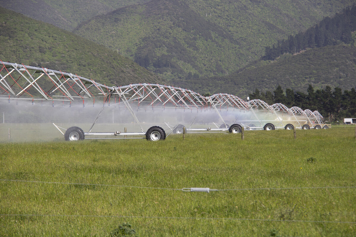 Bay Irrigation Strength To Grow On Lakeflats Farm